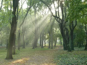 People's Park