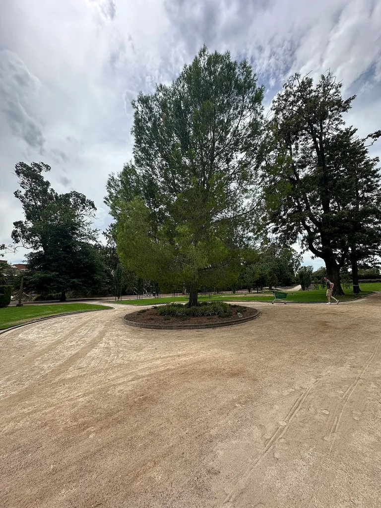 Churchill Memorial Tree in Wagga Wagga.