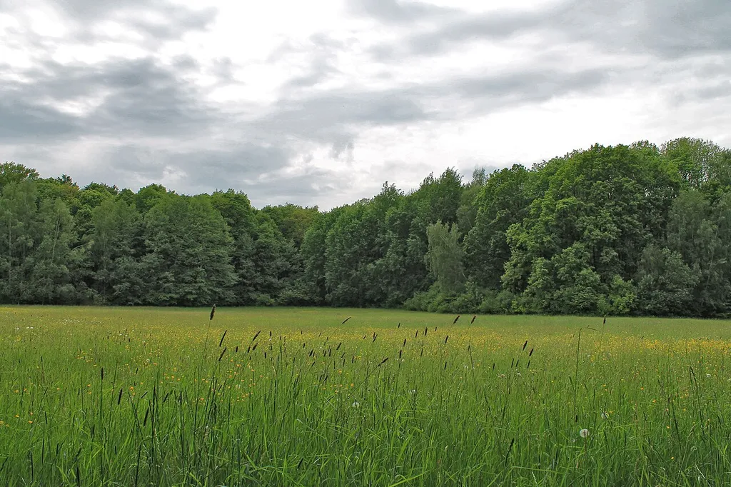 Naturschutzgebiet L15 Sachsen An der Klosterwiese Landkreis Nordsachsen