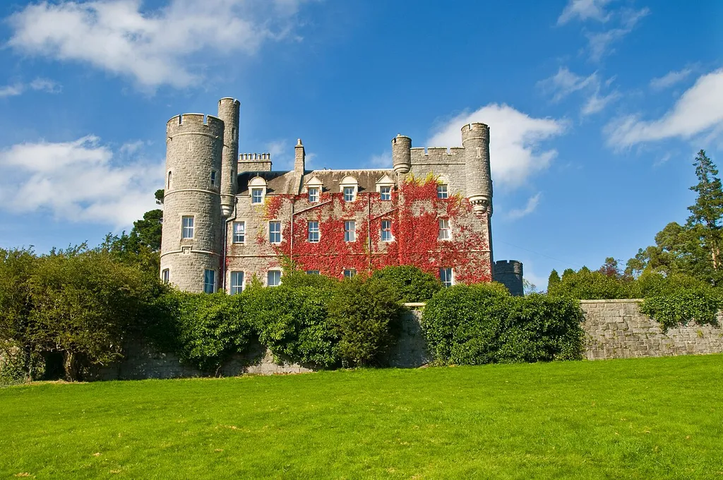 Castlewellan forest park