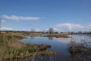 Küstenbereiche Flensburger Förde von Flensburg bis Geltinger Birk
