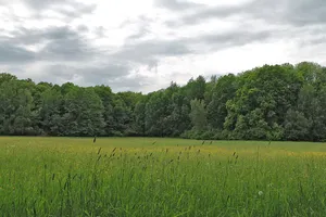 An der Klosterwiese