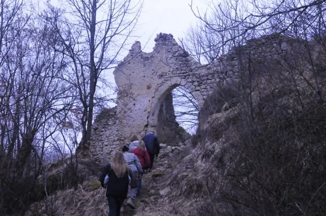 Burg Lutzmannstein
