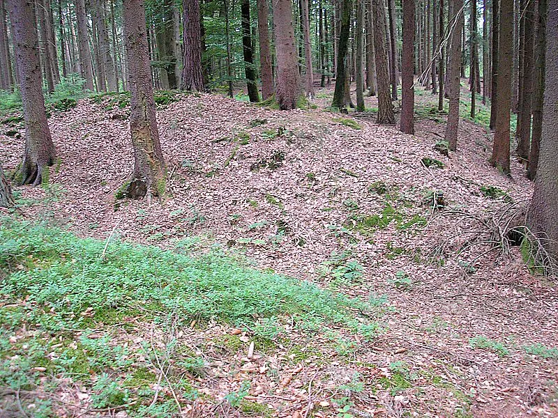 Early Middle Ages hill fort "Schwedenschanze" near Nisselsbach (Aichach, Landkreis Aichach-Friedberg, Bavaria, Germany). The central fort, looking west.
