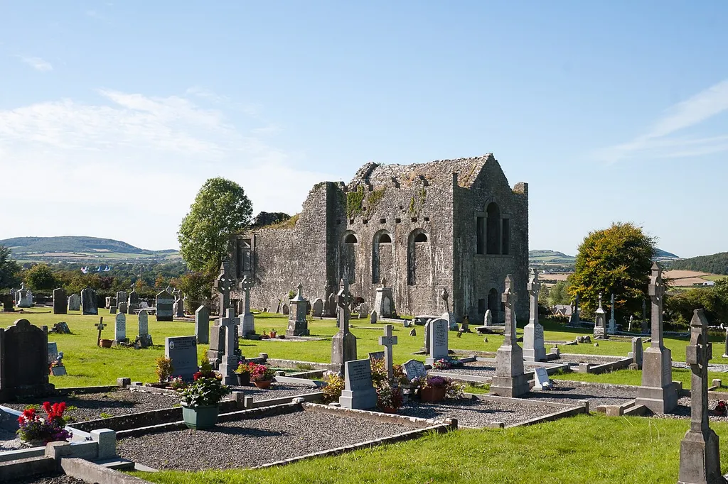 Ruins of a medieval church which was heavily modified in the 19th century on the site of St. Coleman's monastery. Located south-east of Stradbally in the townland of Carricksallagh at the N80 (Stradbally to Carlow).