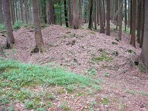 Schwedenschanze