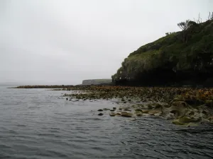 Enderby Island
