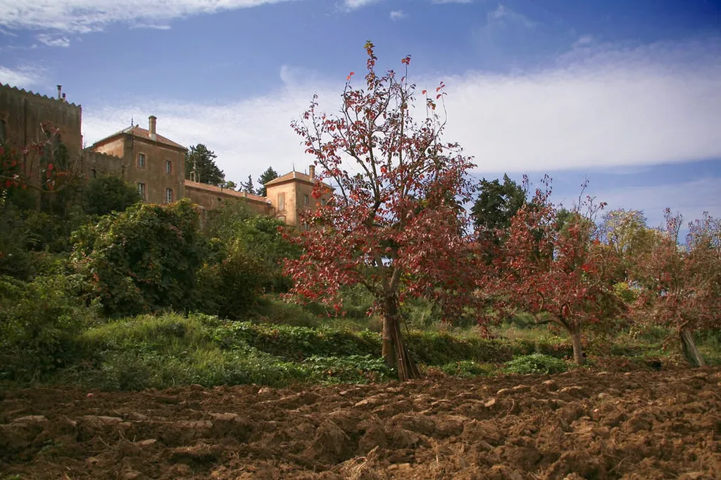 Monastère de Tibhirine vu des champs