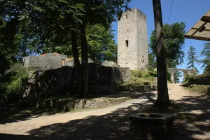 Burg Schwarzenburg (Oberpfalz)