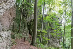 Felsen- und Hangwälder in der Fränkischen Schweiz