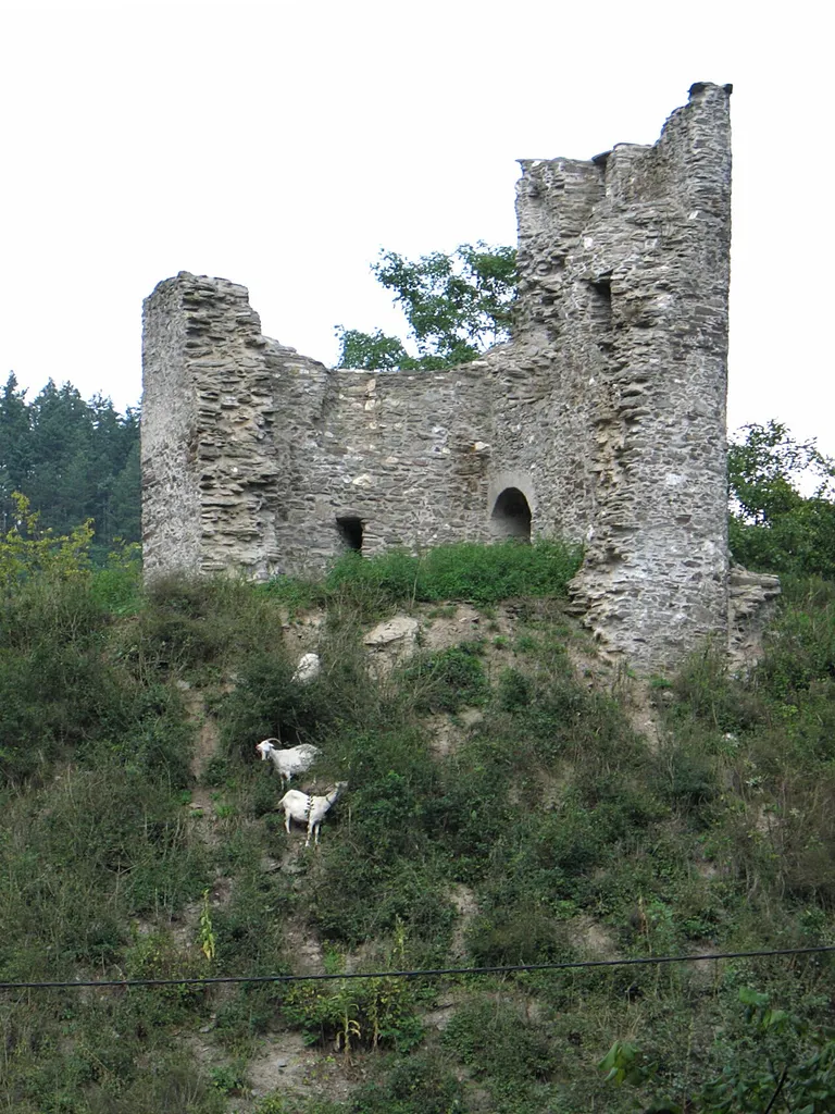 The ruins of Lauksburg castle near Lorch, Germany. View from western direction.