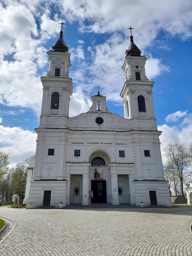 Marijampolės Šv. arkangelo Mykolo mažoji bazilika