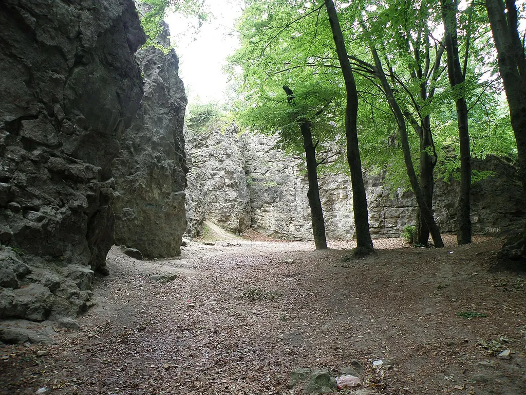 Chortovi Skeli