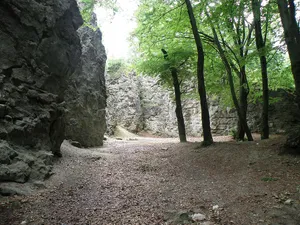 Chortovi Skeli