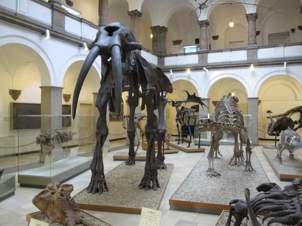 Palaeontological Museum, Munich