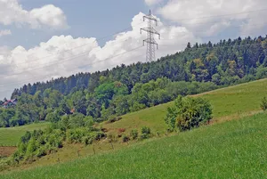 Mittelalterliche Turmburg Neuberg