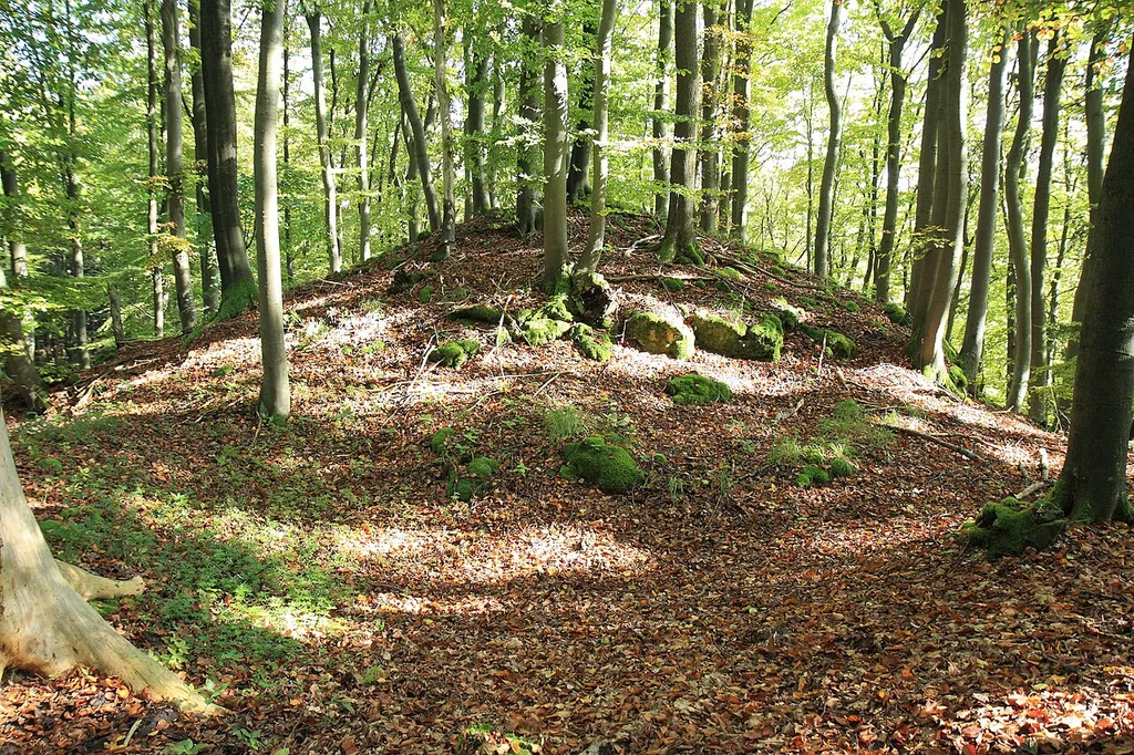 Burgstall Hoher Stein