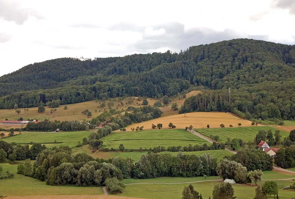 Bromberg-Panorama über dem Kirbachtal: links die Bromberger Höfe, darüber der Geißbühl und der Sporn des Burgstalls, rechts die Bromberger Mühle (Blick von Norden, von den Weinbergen über Spielberg)