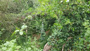 Belgium-Netherlands boundary stone no. 56