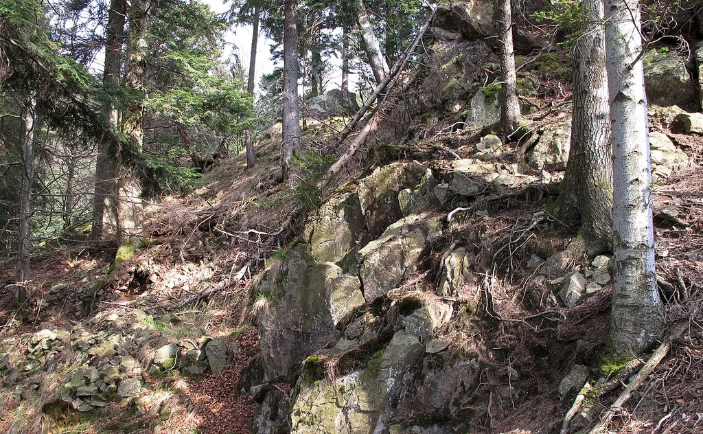 Wilde Schneeburg, Oberried