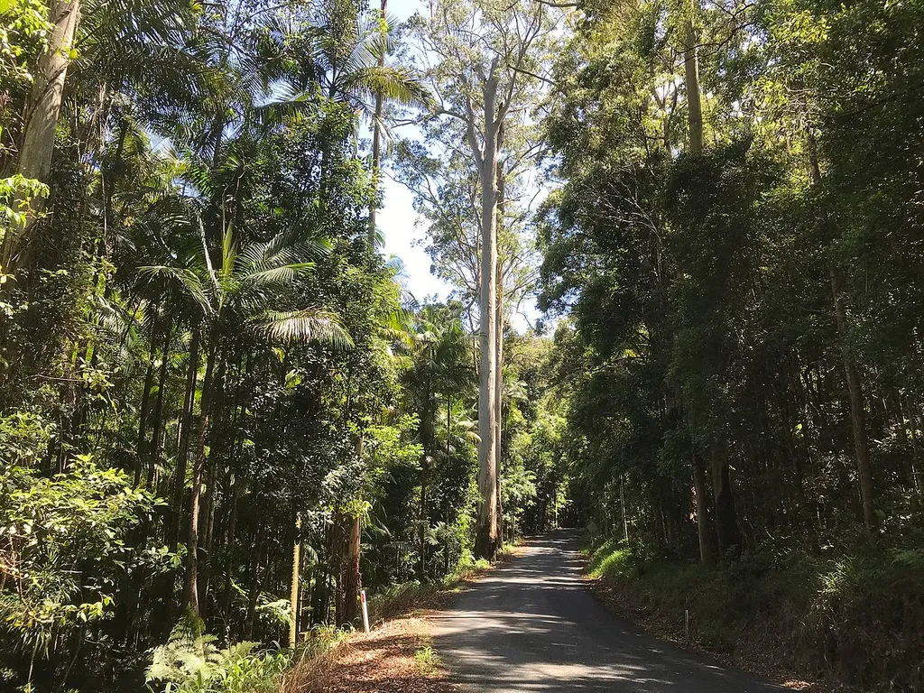Ulidarra National Park