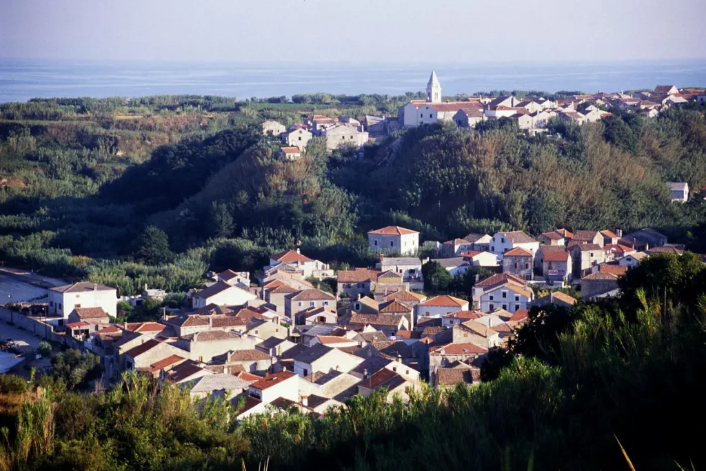 Susak