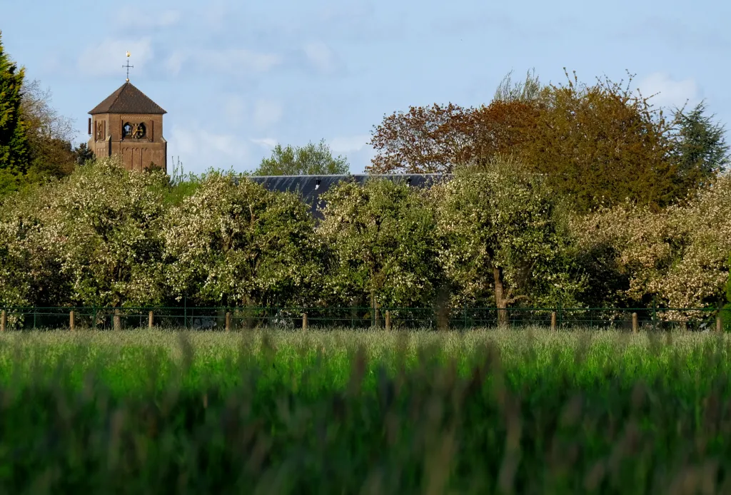 View of Bemmel, also known as 'Bemmely Hills'. Like many others towns in the Betuwe, the blossoms of the fruit orchards are a striking landscape feature of the region during springtime.