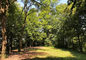 Baldern, medieval castle site