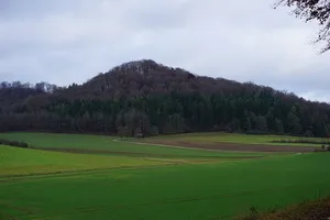 Burg Habsberg