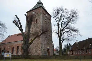 Naturdenkmal Winter-Linde An der Kirche in Groß Schönebeck