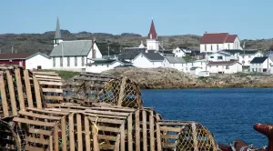 Fogo