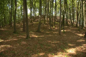 Burgstall Burgstein
