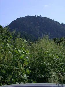 Hachiōji Castle
