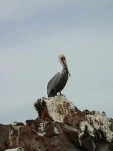 El Vizcaíno Biosphere Reserve