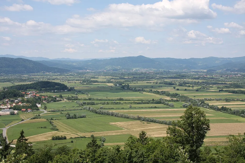 Ljubljana Marshes