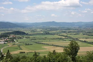 Ljubljana Marshes