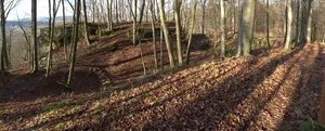 Burgstall Dietrichstein (Lützelsdorf)