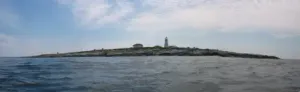 Machias Seal Island