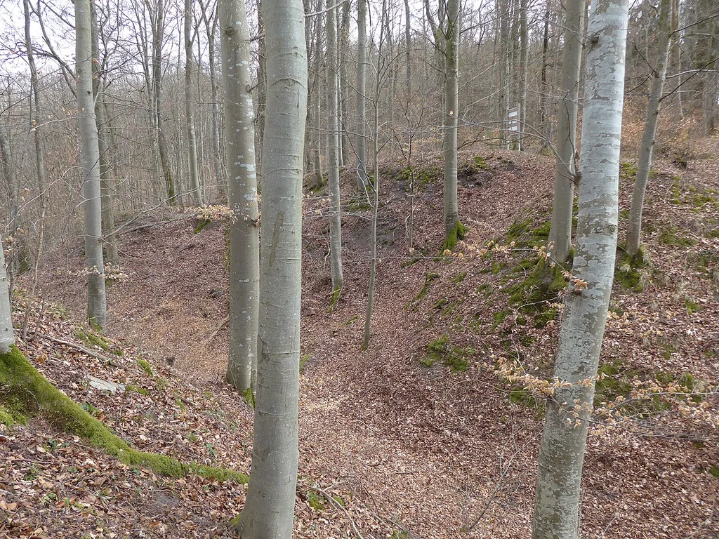 Graben der abgegangenen Burg Rohrau