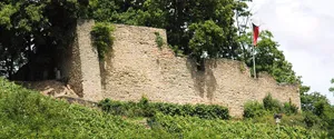 Burg Neuwolfstein