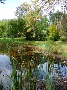 Botanical garden in Frankenburg