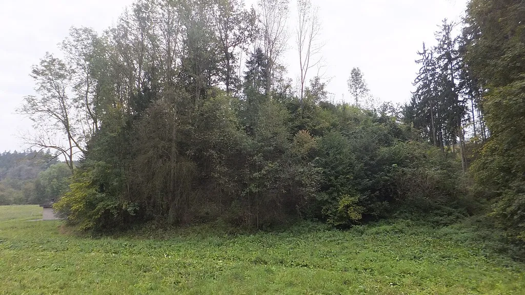 Burgstall Steinbach, Schwabegg St. Georgen bei Grieskirchen