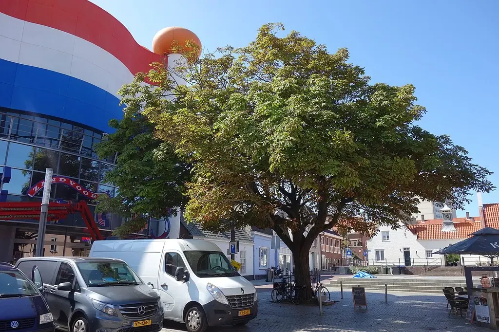 Circus Zandvoort