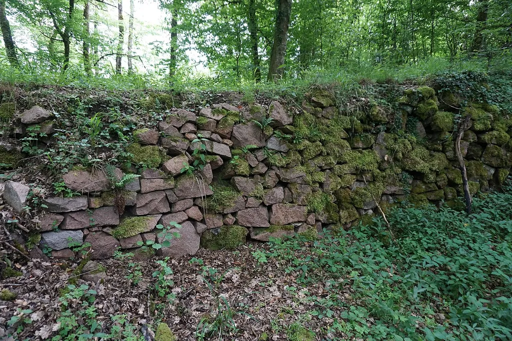 Burg Neu-Waldeck