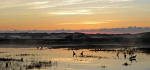 Dunes of Texel National Park