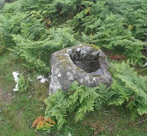Beatland Corner socket stone: a wayside cross 900m south east of Shaugh Prior church
