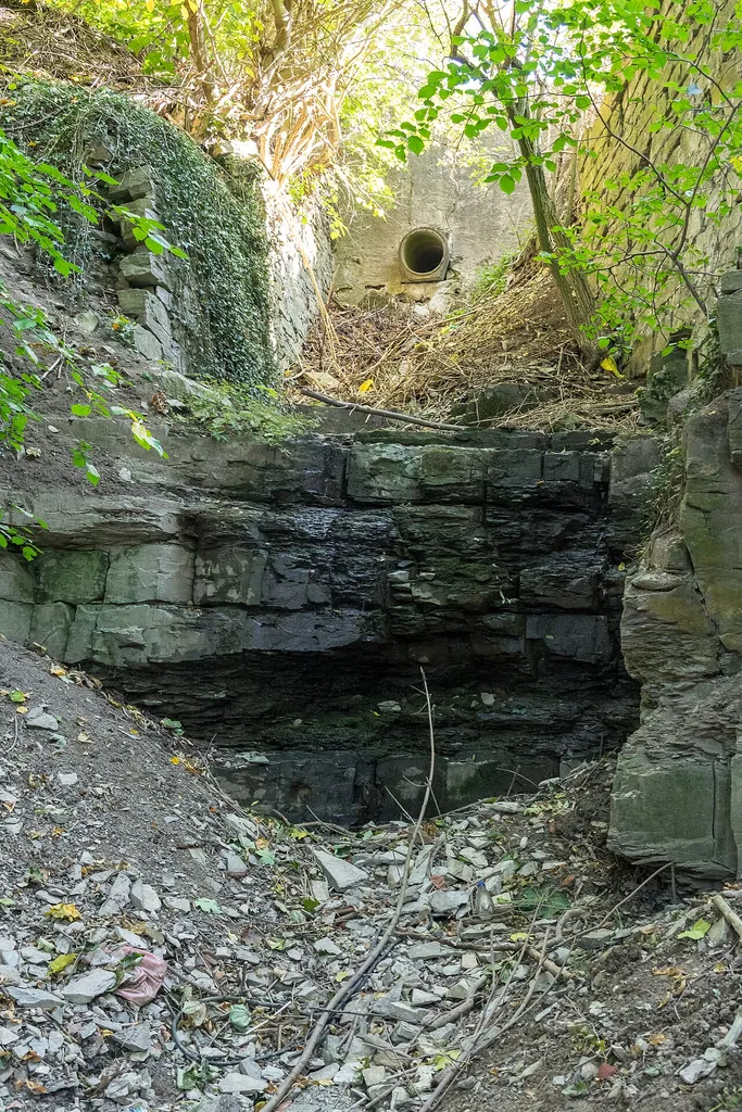 Naturschutzgebiet Almehänge bei Ahden und Wewelsburg, Abschnitt westlich der Wewelsburg
