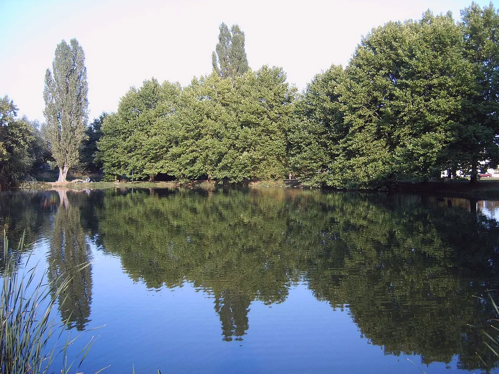 Ottersleber Teich