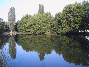 Ottersleber Teich