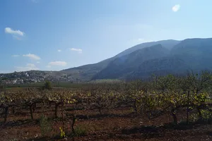 Agios Vasileios Castle